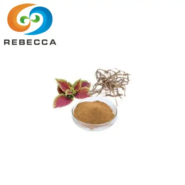 Coleus Forskohlii Powder